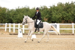 SBM_003253