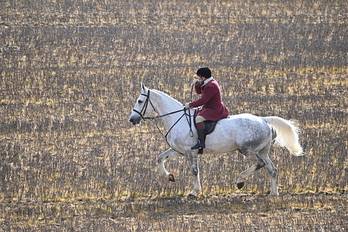 WJ6_8592