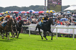 060926-Race 2-Oriental Prince-7204