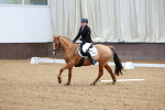 SBM_001505