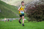 Dovedale Junior-52
