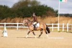 SBM_009385