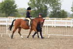 SBM_22435
