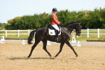 SBM_007005