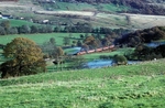 19th Nov 2005