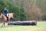 WJ6_5008