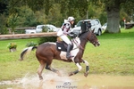 669-FOXRIDGE.HIGH.JINX-Claire.Deuten-SC+XC portfolio
