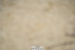 240309-121732-00547