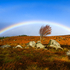 Autumn Gold Under The Rainbow