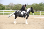 SBM_007276