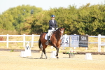 SBM_016520