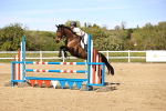 SBM_003367