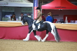 SBM_09740
