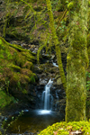 Ormidale Estate, Argyll - 3974