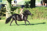SBM_54063