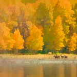 joint 3rd  Roy Peters    Deer in Autumn Sunlight