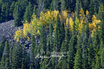 3HPhotography10-6-24_RMNP_0051_