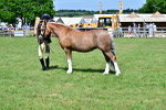 SBM_08053