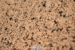 231015A-094018-06764