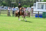 SBM_03733