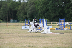 WJ6_8394