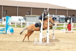 SBM_008476