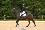 212-CALCOURT.BOLT-John.Westmore-DR portfolio