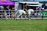 SBM_06428