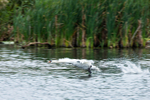 20140906-3K8A5548