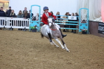 SBM_004042