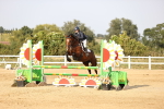 SBM_04012