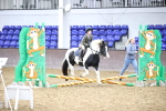 SBM_000046