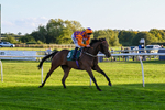 300926-Race 7-Prince Of Calypso-7074