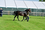 SBM_00952