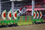 SBM_006602