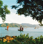 KM-04 Fleet of Junks off Tai Lam Chung - 1972