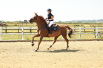 SBM_000969