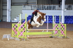 SBM_000691