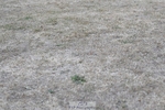 250823A-185232-34544