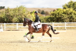 SBM_009854