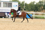 SBM_001783