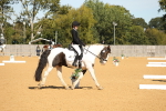 SBM_19787