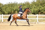 SBM_000992