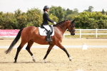 SBM_002636