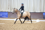 SBM_000337