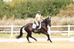 SBM_012376