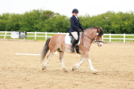 SBM_005996