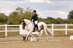 SBM_006588