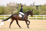 SBM_007365