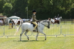 SBM_06726
